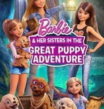 Photo of Барби и щенки в поисках сокровищ (видео) (2015)